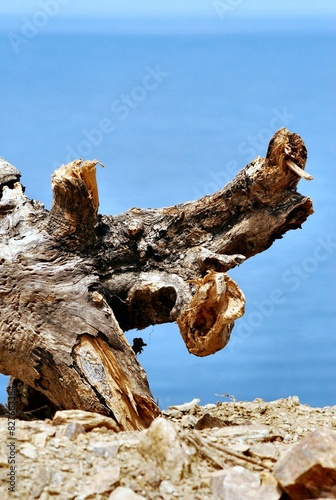 Fondos y texturas,basta mirar a nuestro alrededor y podemos encontrar imagenes que solo un ojo entrenado como el de un fotografo puede 