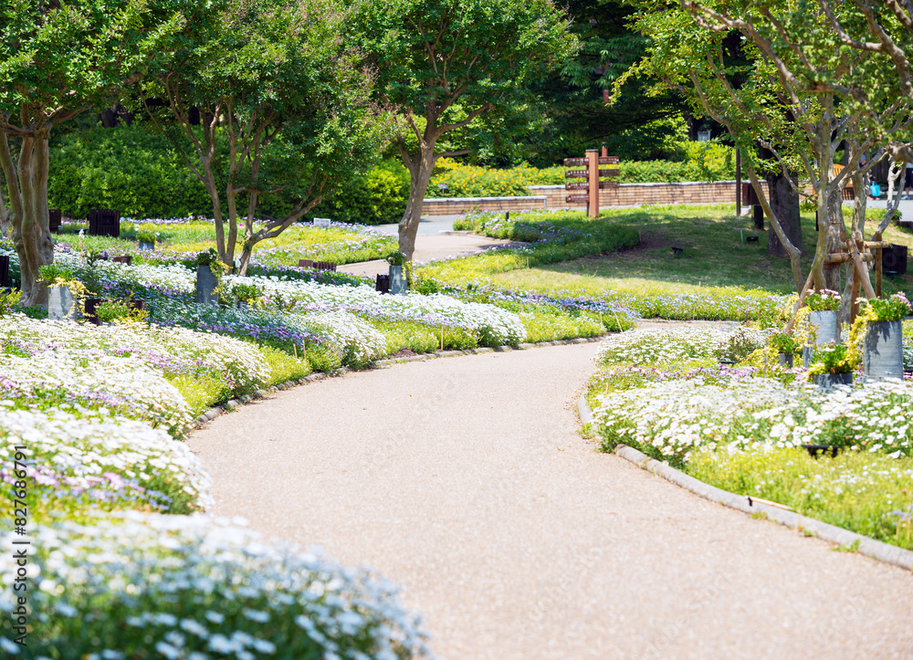 長居植物園の風景 長居植物園の風景