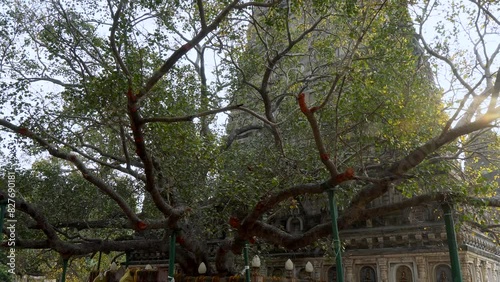 Bodh Gaya Temple, site of Buddha's enlightenment, Bihar, India