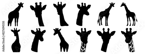 Φωτογραφία Giraffe silhouettes set, pack of vector silhouette design, isolated background