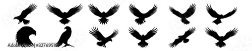 Eagle silhouettes set, pack of vector silhouette design, isolated background © FutureFFX
