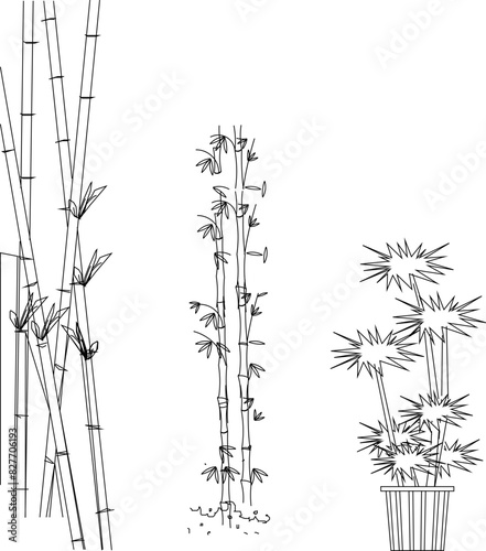 Artistic tree plant design drawing vector illustration sketch for completeness of the image