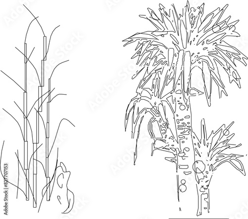 Artistic tree plant design drawing vector illustration sketch for completeness of the image