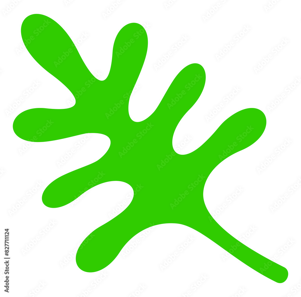 Summer leaf or leaves. Plant, nature, foliage and flora, illustration Summer leaf or leaves. Plant, nature, foliage and flora, illustration