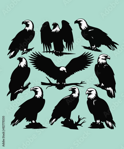 Eagle Birds 