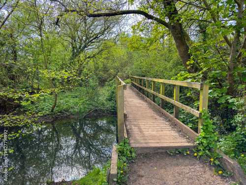 Wooden bridge across a small rover in the countryside. No people.