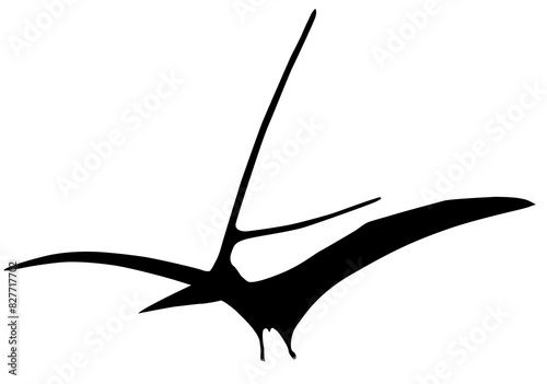 silhouette of a pterosaur on a white background photo