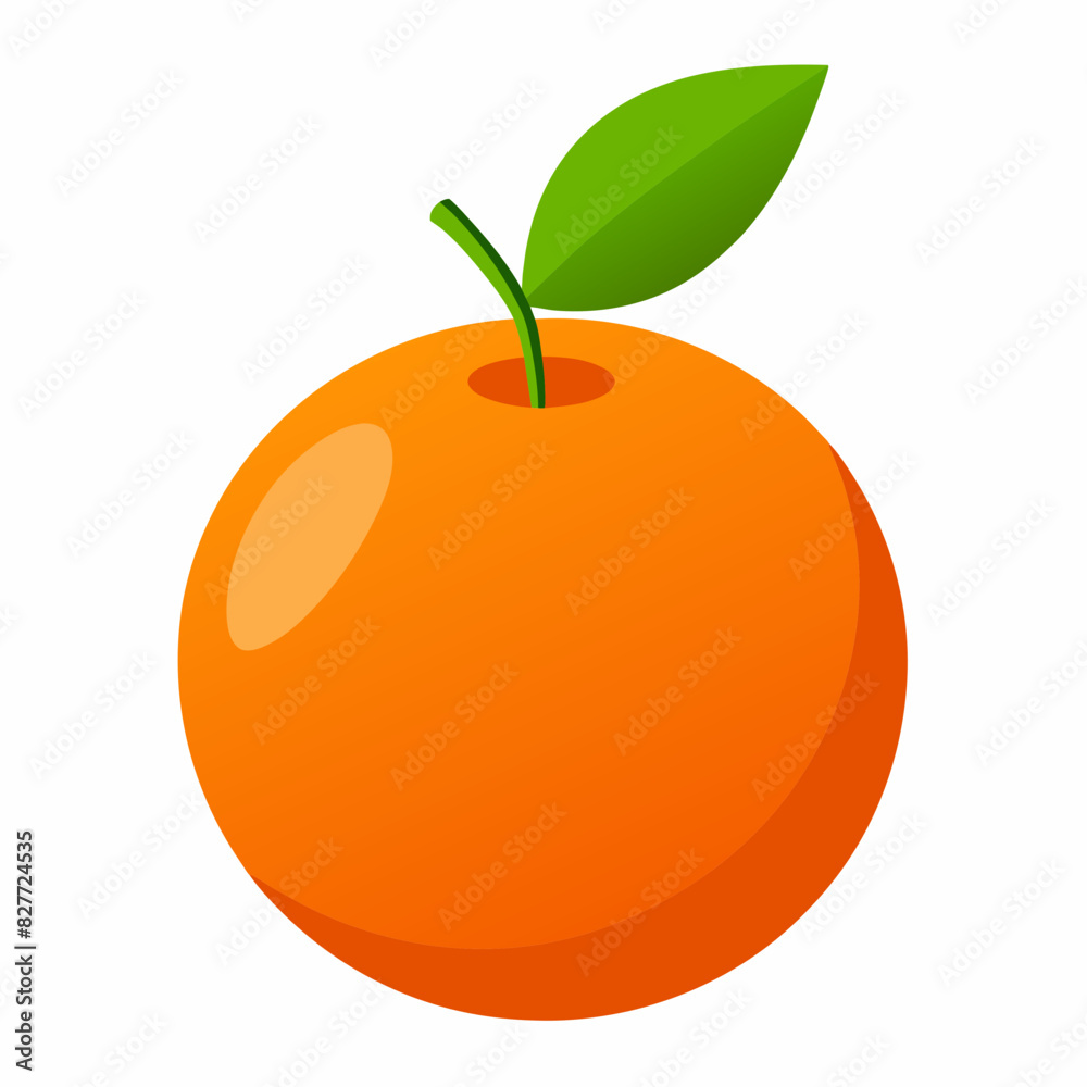 Fresh oranges vector illustration 