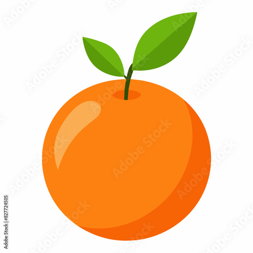 Fresh oranges vector illustration 