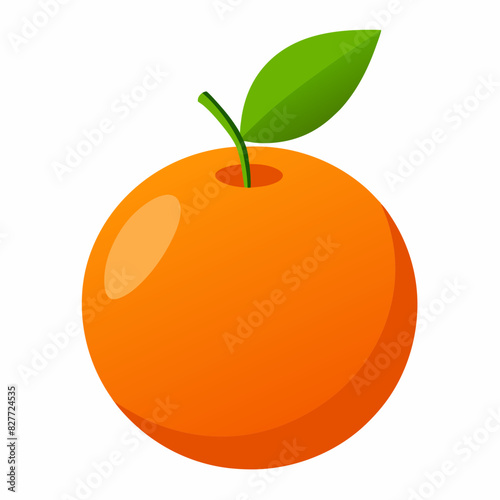 Fresh oranges vector illustration 