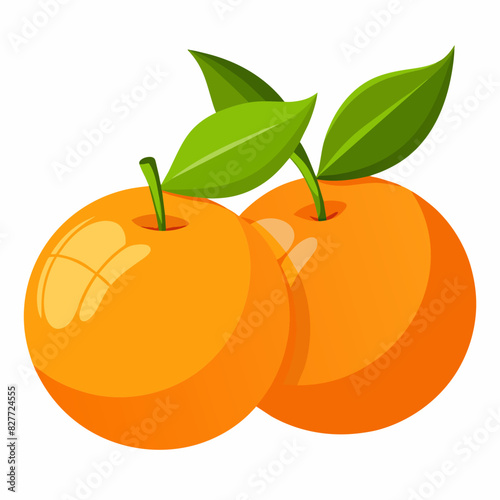 Fresh oranges vector illustration 