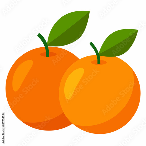 Fresh oranges vector illustration 