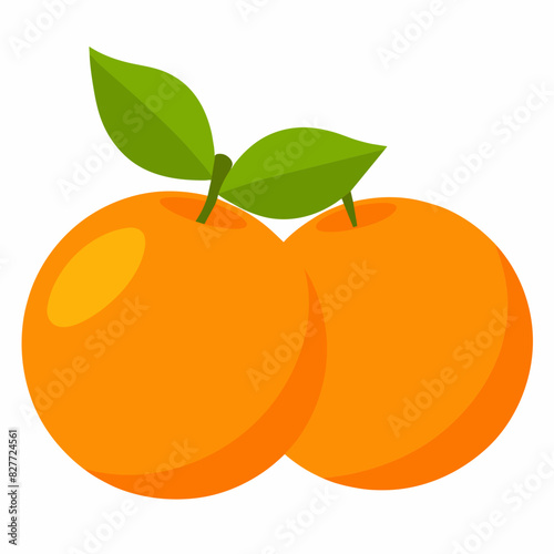 Fresh oranges vector illustration 