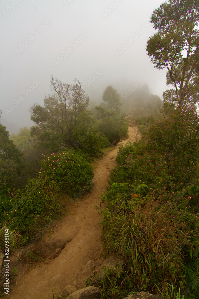 Obraz premium Walkway in the mountain top on a foggy morning