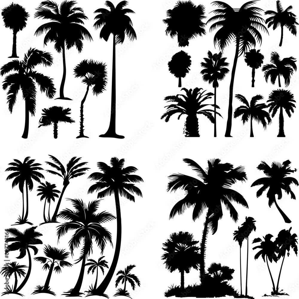 Obraz premium black tree silhouette set label protection silhouette graphic pine drawing trunk woodland shape illustration set wild cedar collection evergreen symbol black card needles spruce