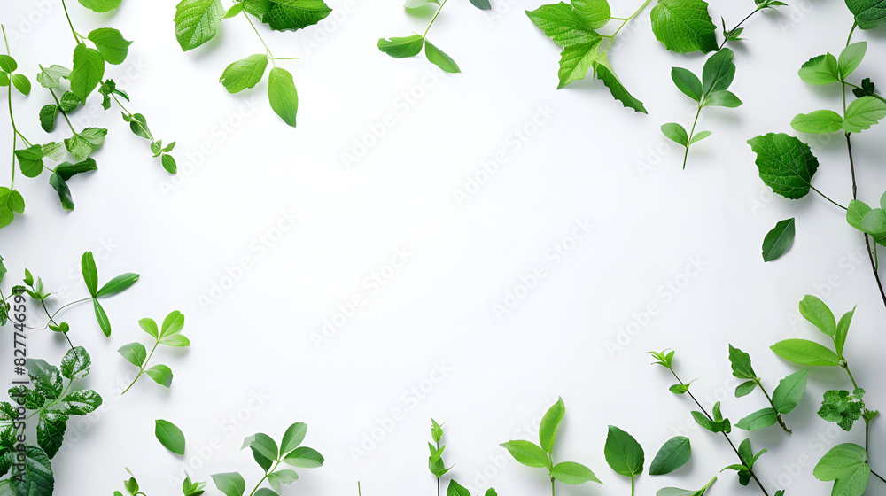 green leave on white background ,Spring vegetables and herbs, close up of nutritious greens sprouting ,Close up of nature view green leaf with rain drop on blurred greenery background under sunlight green leave on white background ,Spring vegetables and herbs, close up of nutritious greens sprouting ,Close up of nature view green leaf with rain drop on blurred greenery background under sunlight