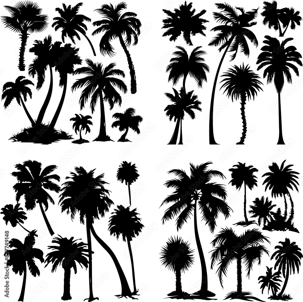 black tree silhouette set label protection silhouette graphic pine drawing trunk woodland shape illustration set wild cedar collection evergreen symbol black card needles spruce black tree silhouette set label protection silhouette graphic pine drawing trunk woodland shape illustration set wild cedar collection evergreen symbol black card needles spruce