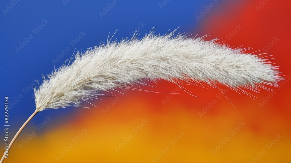 A close-up of a white feather against a red and yellow foreground, with a blue sky as the background A close-up of a white feather against a red and yellow foreground, with a blue sky as the background