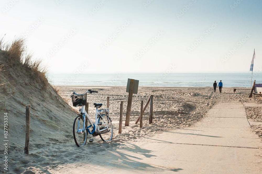 Sand dunes on the sea coast in Noordwijk, Netherlands. Two men walking with dog on the beach.