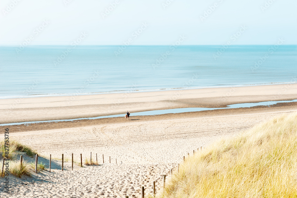 Sand dunes on the sea coast in Noordwijk, Netherlands. Woman rides a horse on the beach