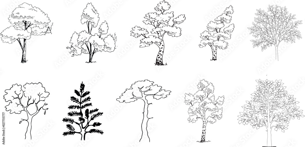 Minimal style cad tree line drawing, Side view, set of graphics trees elements outline symbol for architecture and landscape design drawing