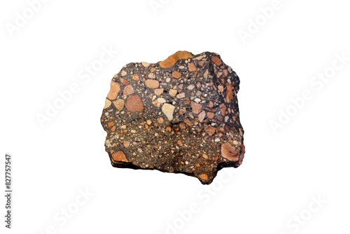 A piece of conglomerate rock isolated on white background. Detrital sedimentary rock.