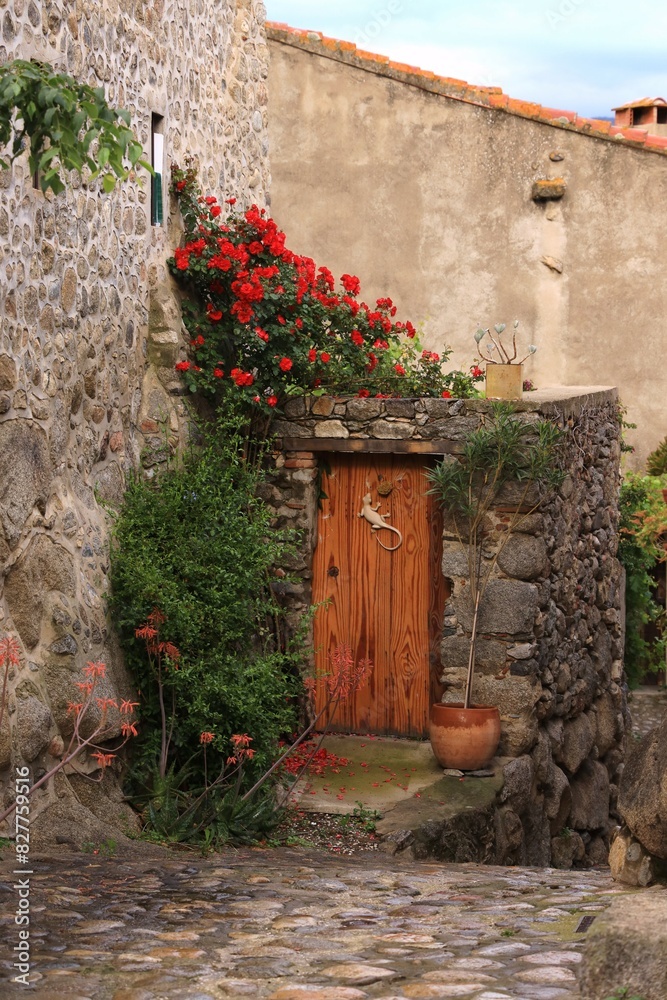 Fototapeta premium House front in village in Pyrenees mountains in southern France featuring wooden door adorned with red geraniums in blossom