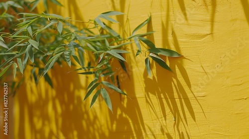  A tight shot of a bamboo plant against a yellow backdrop The wall bears shadows of two adjacent bamboo plants