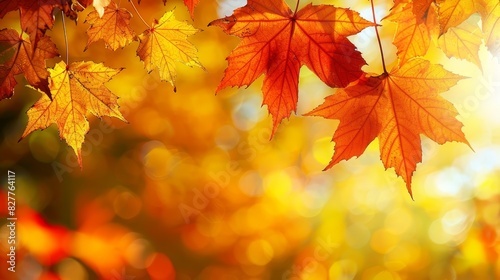 yellow  red  orange  and yellow  red  and green leaves create a blurred  radiant background