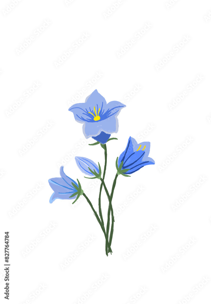 blue iris flower blue iris flower