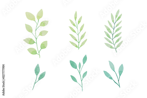 Assortment of watercolor leaves illustration set - green leaf branches collection for wedding, greetings, stationary, wallpapers, fashion, background. olive, green leaves, Eucalyptus etc