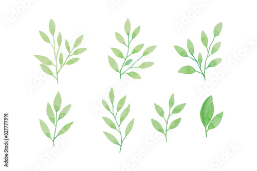 Assortment of watercolor leaves illustration set - green leaf branches collection for wedding, greetings, stationary, wallpapers, fashion, background. olive, green leaves, Eucalyptus etc