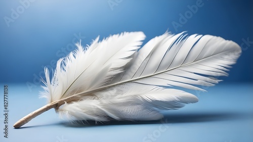 Close up white feather on blue background photo