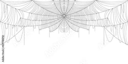 Spider web vector illustration	
