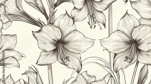 Seamless pattern with hand-drawn amaryllis flowers. photo