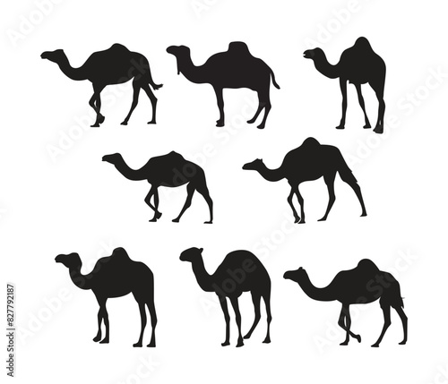 Vector camel silhouette set collection