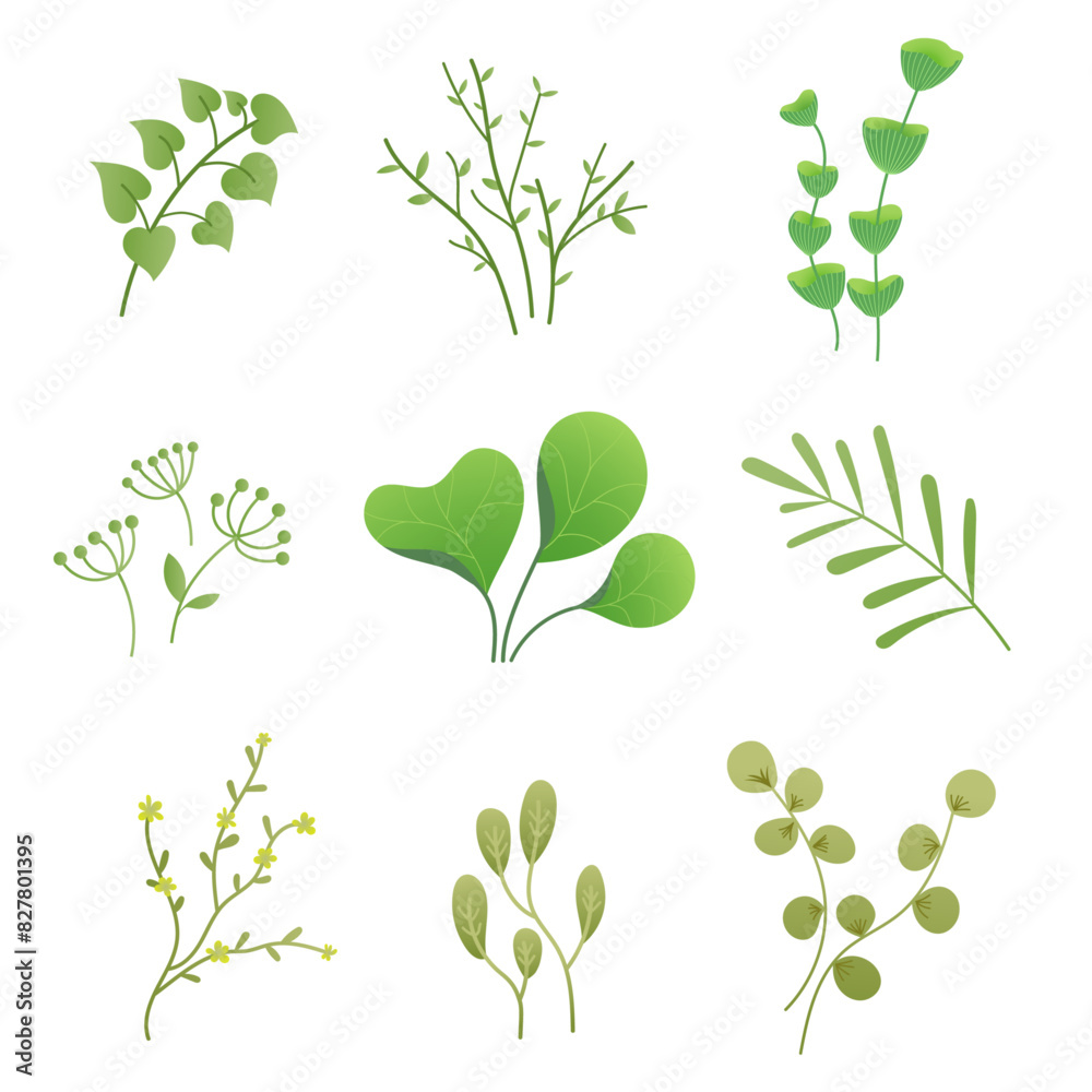Leaf, Floral elements set, Set of branches with green leaves, Vector flat illustration isolated on white. Leaf, Floral elements set, Set of branches with green leaves, Vector flat illustration isolated on white.