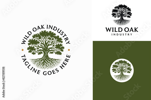 Old Oak Maple Chestnut Tree with Heavy Roots and Circular Label Emblem Badge Stamp for Trunk Wood Timber Lumber logo design