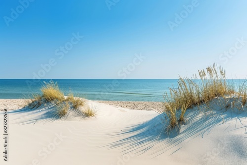 Sand Dunes Under Bright Sunlight