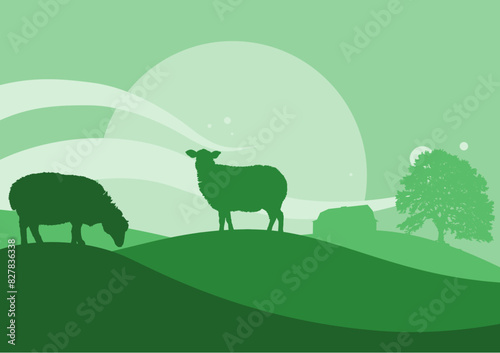 rural landscape with sheep  sheep on the hill  wool - banner  background - vector illustration
