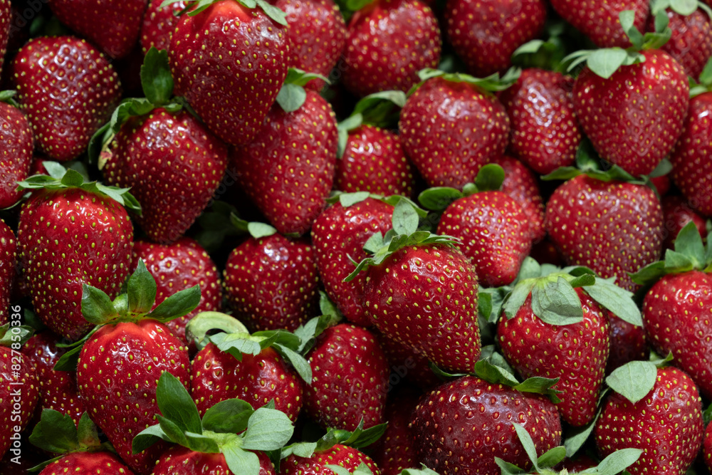 Fresh strawberries from the market Fresh strawberries from the market