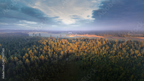 Aerial View of Forest and Farmland at Sunset