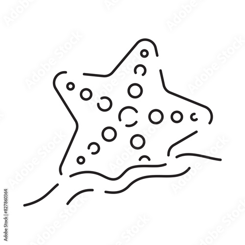 Line icon of summer and beach. Outline symbol summer vacation