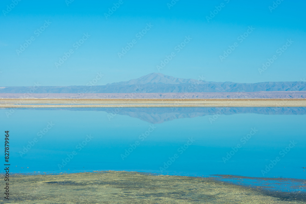 View of the Laguna Chaxa at the Atacama Desert - Atacama, Chile View of the Laguna Chaxa at the Atacama Desert - Atacama, Chile