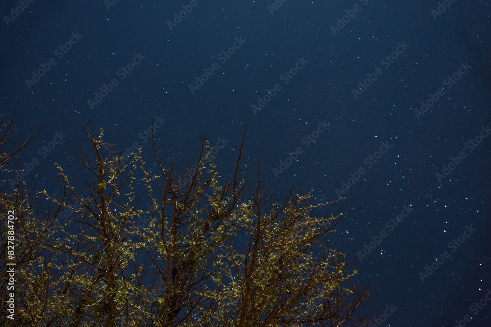 Fototapeta premium View of a starry sky at the Atacama Desert - Atacama, Chile