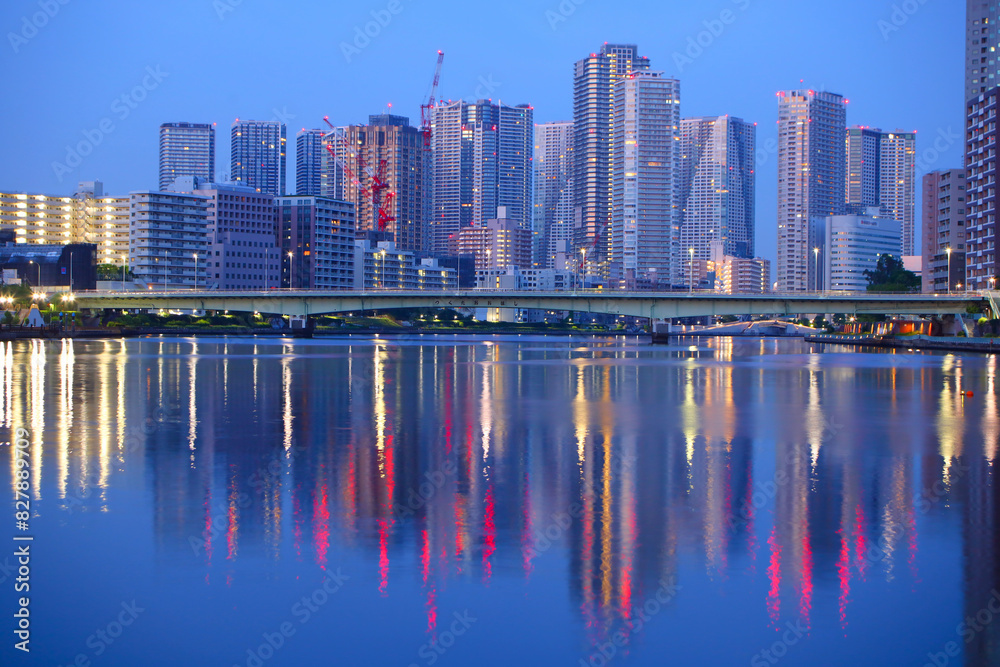 Obraz premium 東京都 隅田川の佃大橋と高層ビル群