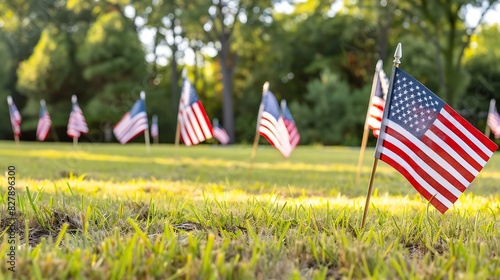 Hundreds of American flags planted on the lawn : Generative AI