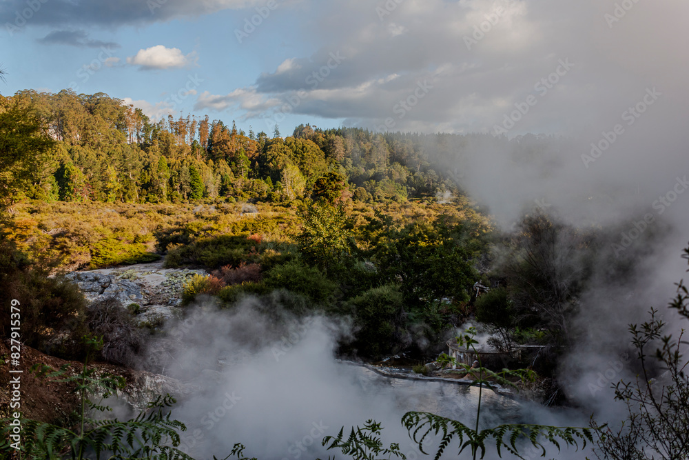 Hot pools of Whakarewarewa thermal Maori village. Rotorua, New Zealand. Hot pools of Whakarewarewa thermal Maori village. Rotorua, New Zealand.
