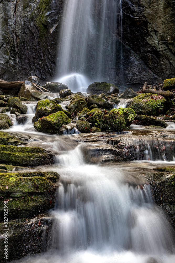Obraz premium beautiful waterfall in a swiss forest