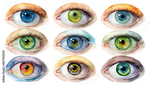 Collection of Vector Flat Watercolor Eye Pupils Isolated on Transparent Background | Detailed Eye Illustrations